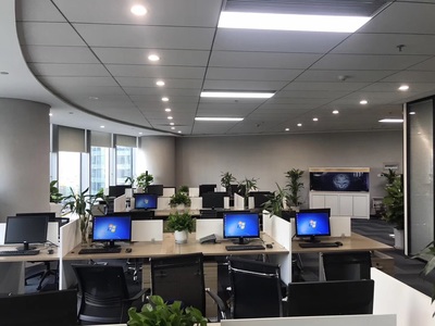 深耕區(qū)域，洞察市場(chǎng) 浙江杭鑫經(jīng)濟(jì)信息咨詢的市場(chǎng)調(diào)查實(shí)踐與價(jià)值